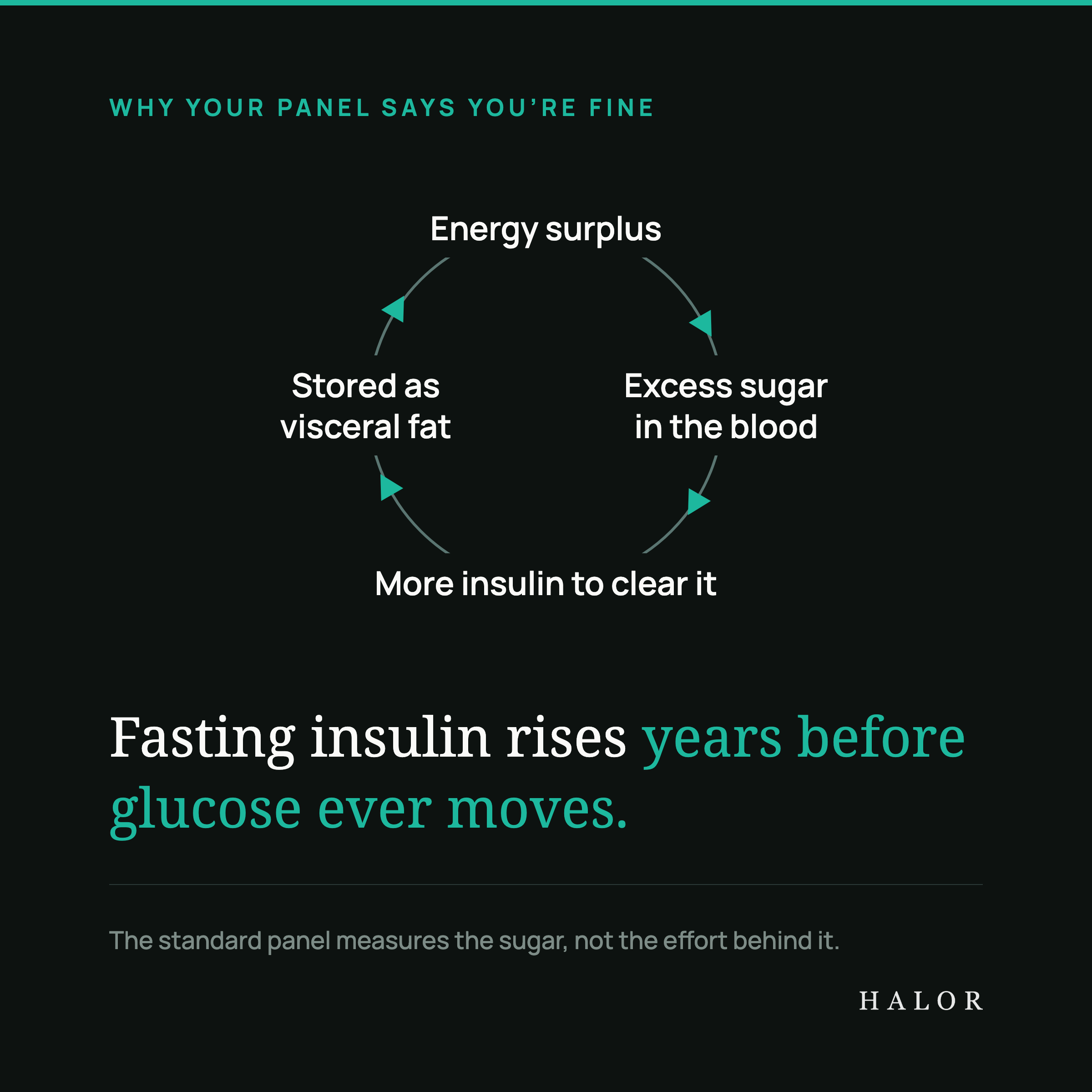 The vicious circle behind a normal-looking panel: energy surplus leads to excess sugar in the blood, which takes more insulin to clear, which stores the surplus as visceral fat — which makes cells more resistant still. Fasting insulin rises years before glucose ever moves.