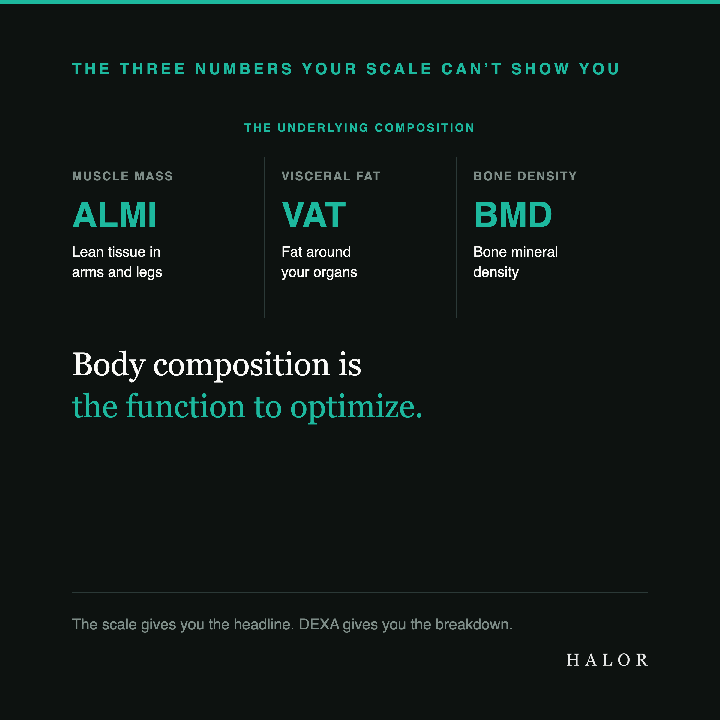 A card titled The three numbers your scale can't show you. It lists the underlying composition: muscle mass, measured through ALMI and lean tissue in the arms and legs; visceral fat, or VAT, around the organs; and bone density, or BMD. The closing line reads: Body composition is the function to optimize. The scale gives you the headline. DEXA gives you the breakdown.